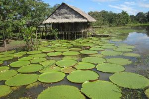 Estos son los destinos imperdibles en Colombia para 2019