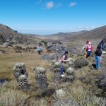 Observación de flora en el Páramo