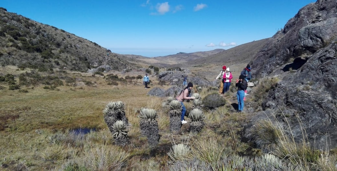 Observación de flora en el Páramo