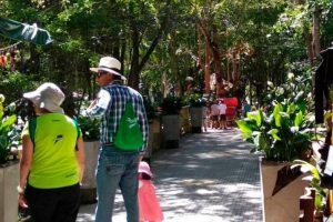 Parque El Gallineral se prepara para volver a funcionar