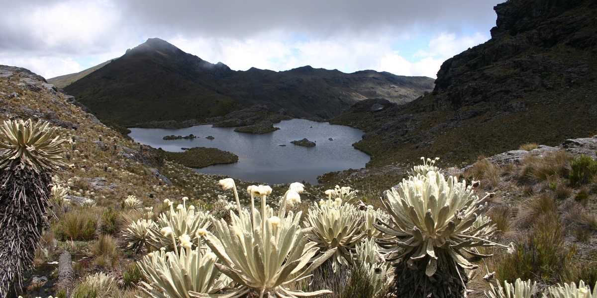 Páramo de Santurban