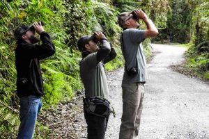 Colombia estrena primera guía para promover el turismo de naturaleza