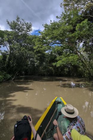 caños de la ciénaga del corregimiento de San Rafael de Chucurí