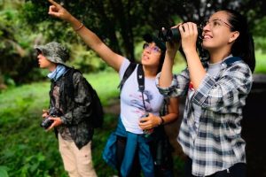 Las aves comunes de Bucaramanga y su invitación a ‘pajarear’