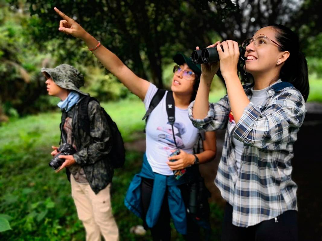 Observación de aves